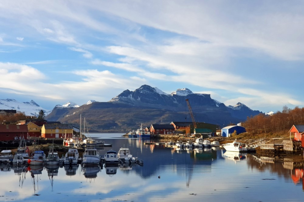 Inndyrsvågen Inndyrsvågen